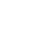 Check-Icon